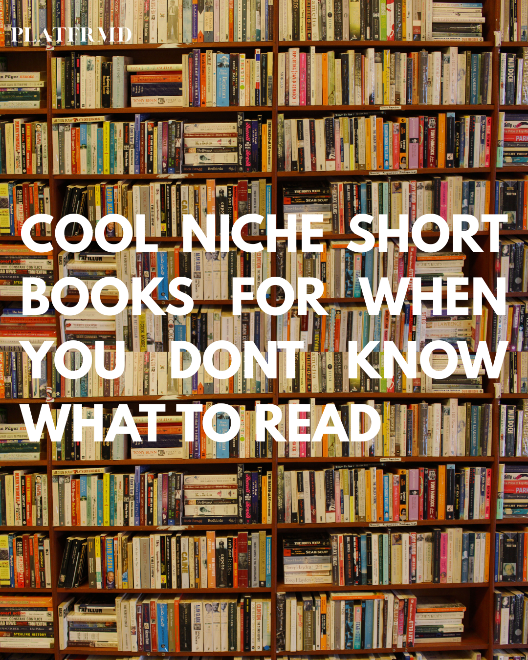 Cool Niche Short Books We Think You Should Read